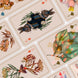 PLAYING CARD DECK | Enchanted Garden Playing Cards - Cartomancy Deck