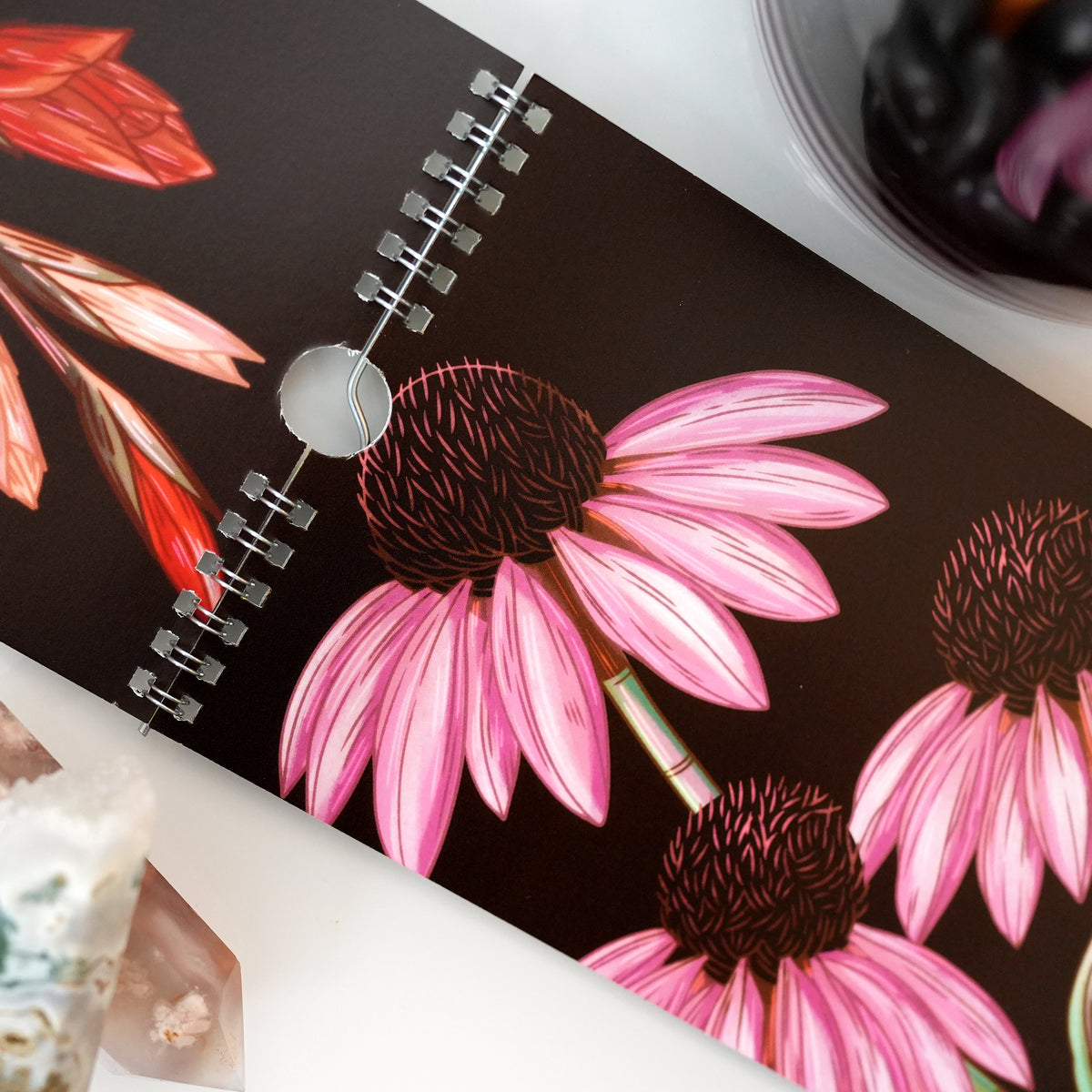 WALL CALENDAR | The Gathered Garden Calendar 2027 - Illustrated Botanical Calendar