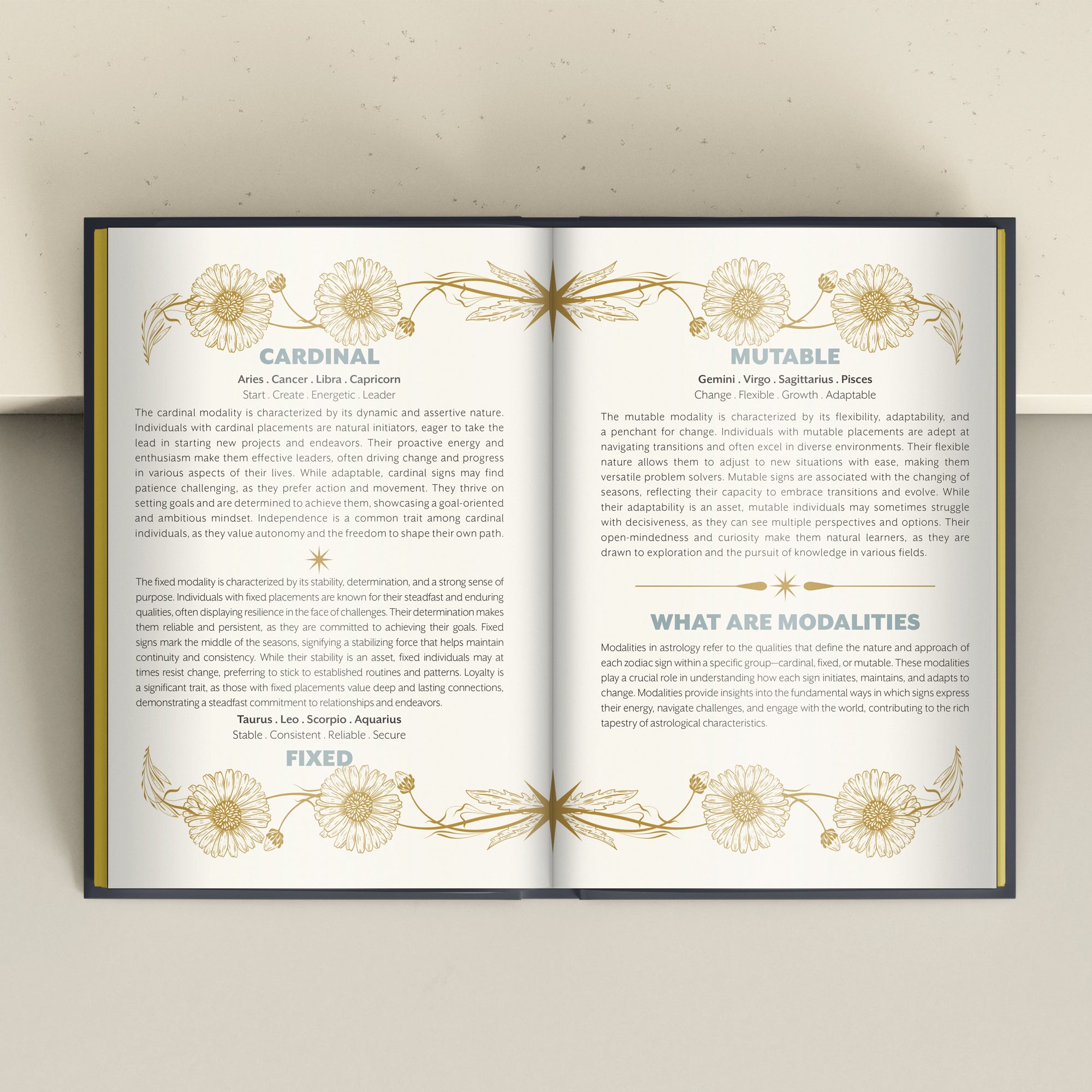 Morii Journal for Divining Book