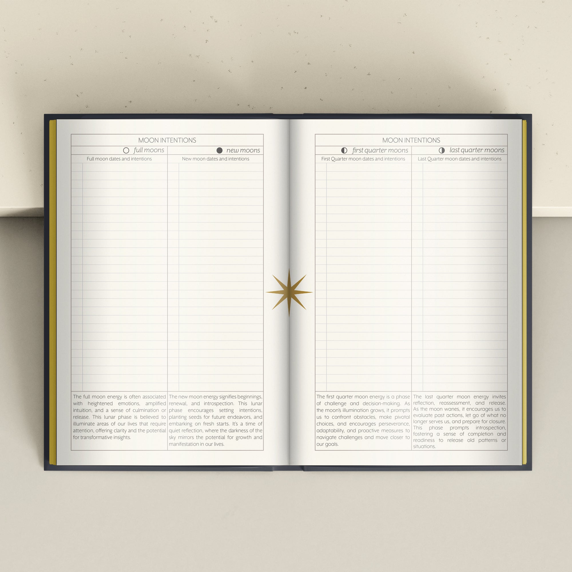 Morii Journal for Divining Book