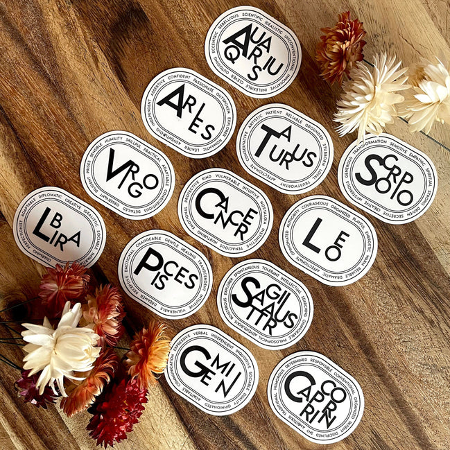 Modern & Chic Zodiac Stickers, astrology signs clear sticker modern black zodiac sign vinyl sticker
