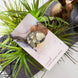 Radiant Crystal Cards 2nd Edition, crystal oracle cards informational crystal card deck learn about crystals oracle cards deck