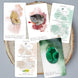 Radiant Crystal Cards 2nd Edition, crystal oracle cards informational crystal card deck learn about crystals oracle cards deck