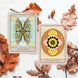 Orenda Tarot Poker Size Deck