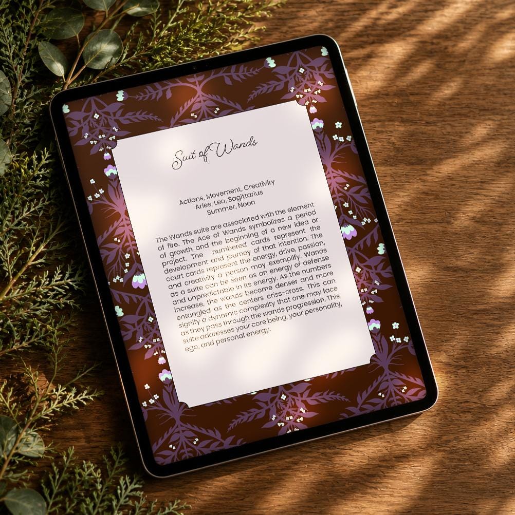 DIGITAL DOWNLOAD | Metanoia Marseille Working Guidebook - Digital Download - Marseille tarot workbook journal