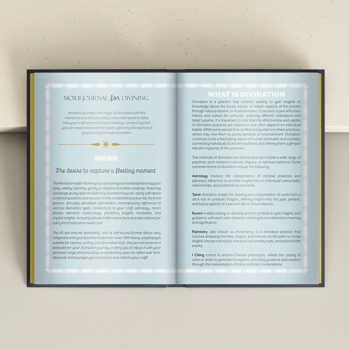 Morii Journal for Divining Book