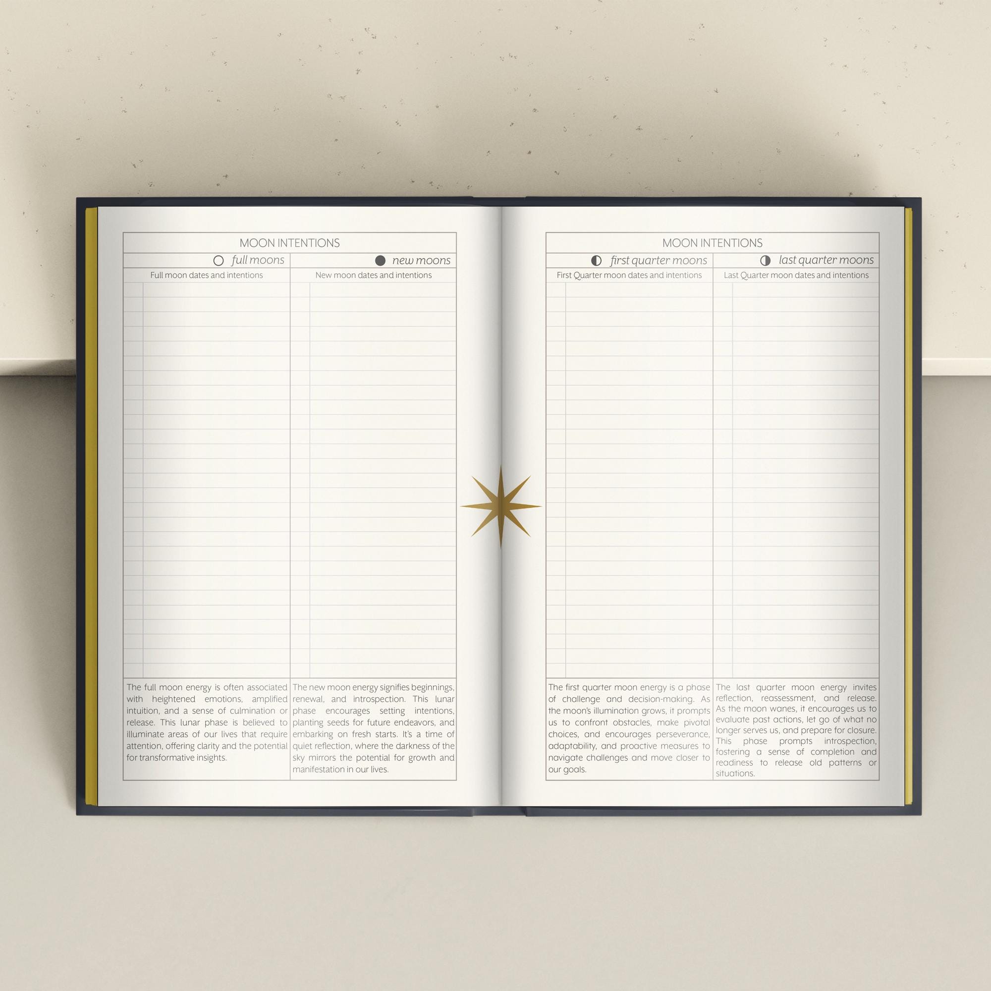 Morii Journal for Divining Book