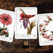 Terra Lenormand 2nd Edition Deck