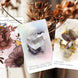 Radiant Crystal Cards 2nd Edition, crystal oracle cards informational crystal card deck learn about crystals oracle cards deck