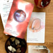 Radiant Crystal Cards 2nd Edition, crystal oracle cards informational crystal card deck learn about crystals oracle cards deck